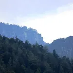 Braeulerhof Gæstehus Bayerisch Gmain