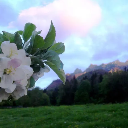 Braeulerhof Pensión Bayerisch Gmain