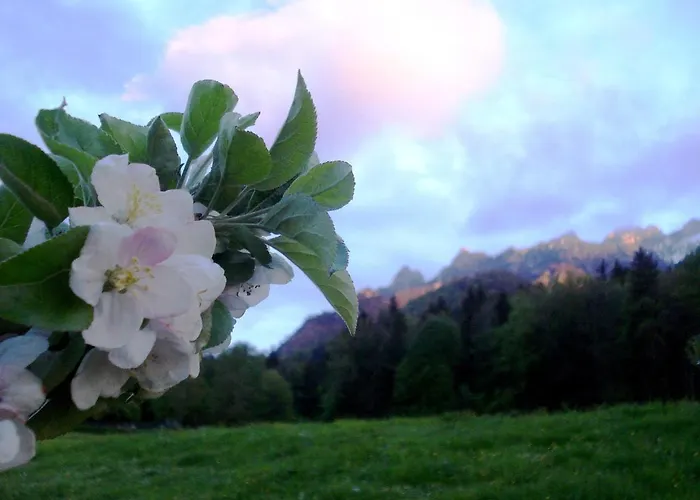 Braeulerhof ゲストハウス バイエリッシュ・グマイン